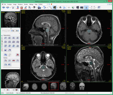 Makhaon Workstation 3.2.734